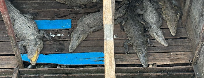 Tonle Sap Lake is one of Siem Reap.