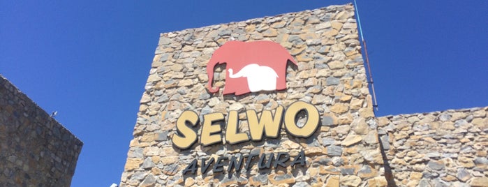 Selwo Aventura is one of Malaga Specials.