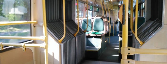 Автобус №607 is one of Наземный общественный транспорт.