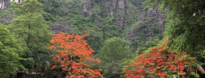 Hang Múa (Mua Caves) is one of Вьетнам.