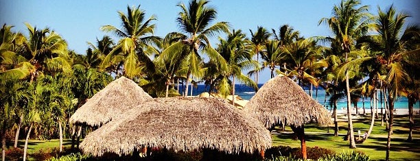 Club Med Punta Cana is one of Tempat yang Disukai Pato.