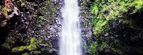 Alelele Falls is one of Lahaina.