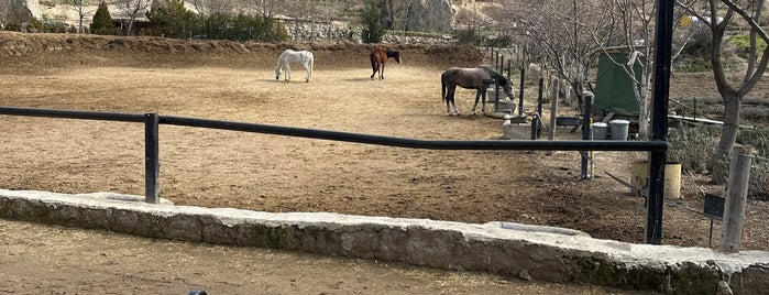 Dalton Brothers At Çiftliği is one of KAPADOKYA.