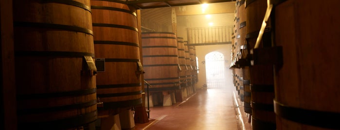 Bodegas Muga is one of Spain Wine Trip.