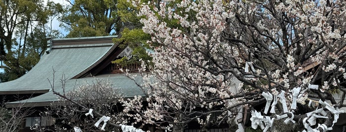 熊本大神宮 is one of 参拝神社.