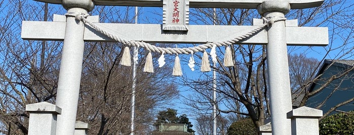 Himemiya Shrine is one of 旧埼玉郡式内社.