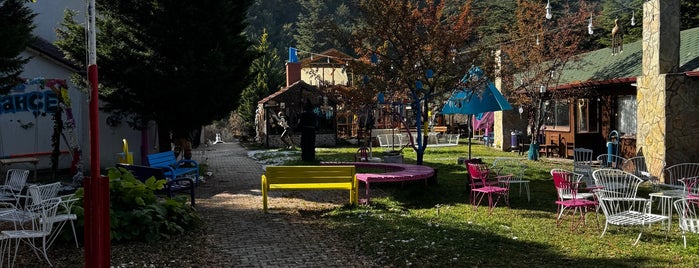 Bahar Bahçe is one of Puansızlar.