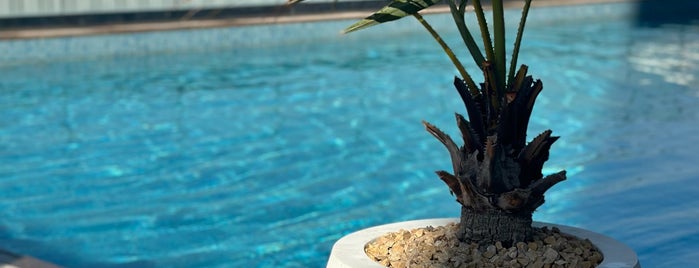 Holiday Inn Swimming Pool is one of Dubai und Ras al Kaima.