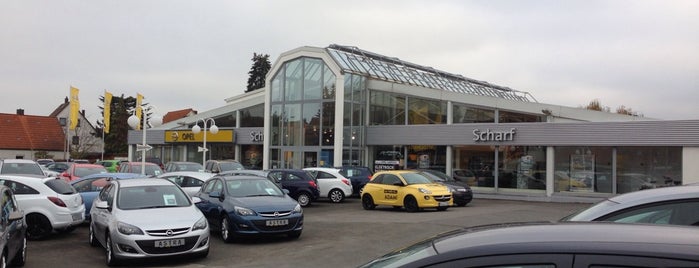 Opel Scharf is one of สถานที่ที่ Nim ถูกใจ.