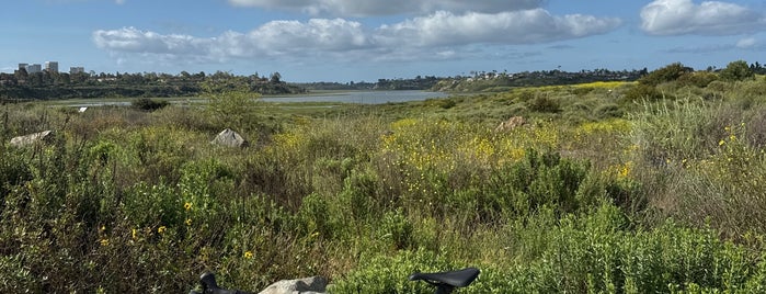 Upper Newport Bay Nature Preserve is one of California.