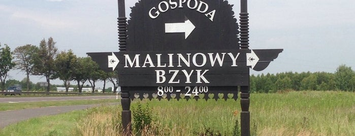 Malinowy Bzyk is one of Lugares favoritos de Marcin.