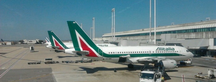 Roma Fiumicino Havalimanı (FCO) is one of Visited Airports.