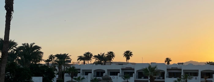 Hilton Fayrouz Resort is one of MISIR- Sharm El Sheikh.