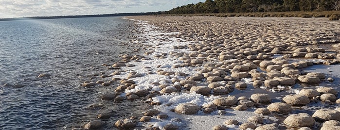 Lake Clifton Thrombolites is one of Perth.