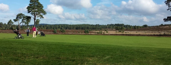 Hankley Common Golf Club is one of Lieux qui ont plu à Mike.