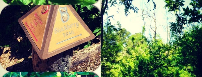 Houston Arboretum & Nature Center is one of Rents.