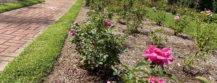 Ritter Park Rose Garden is one of Wild and Wonderful West Virginia.