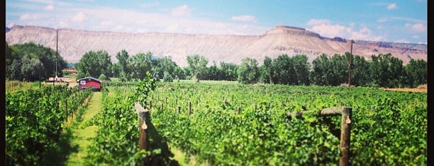 Mesa Park Vineyards is one of Locais curtidos por Krzysztof.