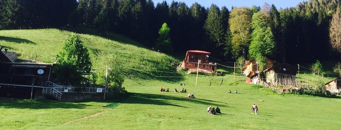 Ayder Yaylası is one of สถานที่ที่บันทึกไว้ของ Fadime.