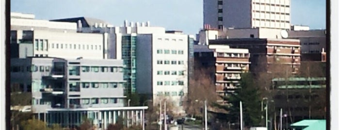 UW School Of Public Health is one of Seattle.