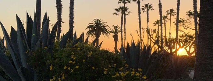 Montage Laguna Beach is one of USA California 🇺🇸.