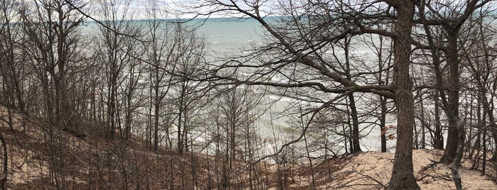Grand Mere State Park is one of Chicago.
