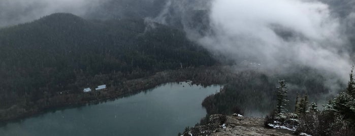 Rattlesnake Mountain is one of Washington.