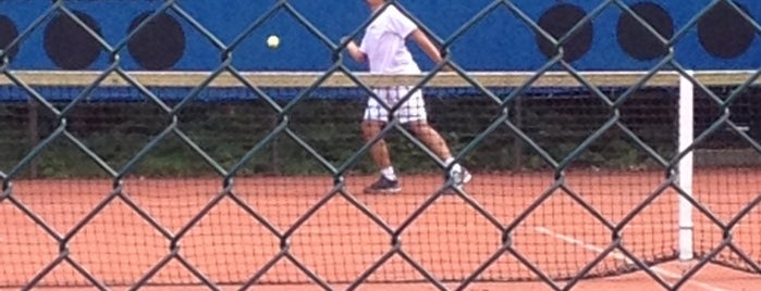 Halsterse Tennis Vereniging is one of Locais curtidos por Yuri.
