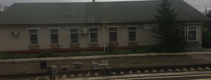 Ж/д станция Мучная is one of Владивосток - Благовещенск.