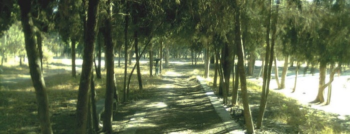 Parque Ecológico El Zapote is one of Rodrigo'nun Beğendiği Mekanlar.