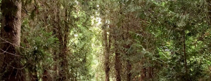 Kustermannpark is one of Alexander'in Beğendiği Mekanlar.