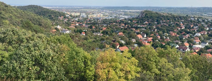 Huszonnégyökrös-hegy is one of Budai hegység/Pilis.