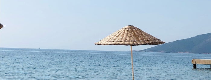 Yalı Cafe & Beach is one of Tolga : понравившиеся места.