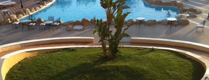 Royal Albatros Moderna Resort Sharm el-Sheikh is one of Tempat yang Disukai Fady.