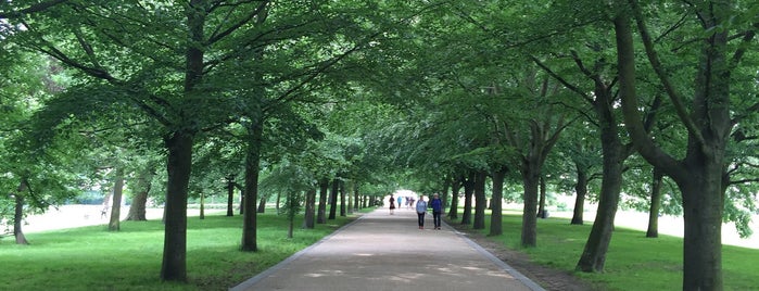 Greenwich Park is one of Tempat yang Disukai Sina.