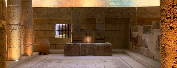 Zeugma Mosaic Museum is one of Sina’s Liked Places.