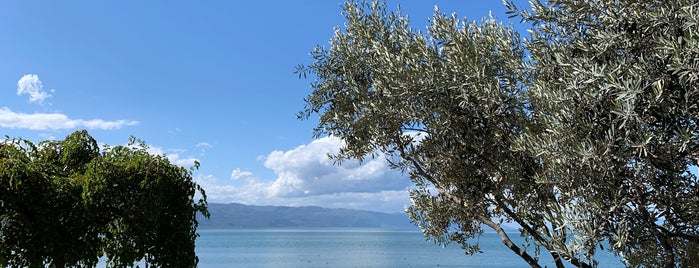 İznik Gölü is one of Lugares favoritos de Sina.