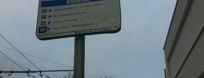 Bzenecká (bus) is one of Noční linka 99 (Brno).