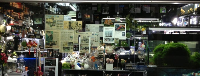 Fish Shop Farm Aquarium