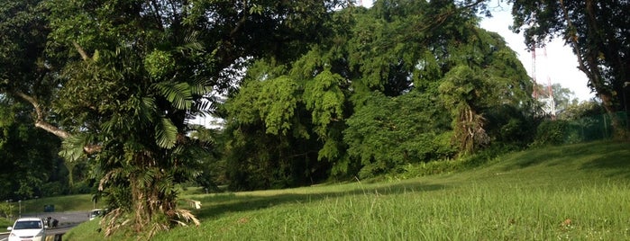 Carpark Off Sherwood Road is one of สถานที่ที่ James ถูกใจ.