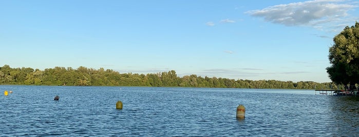 тамбовское водохранилище is one of Lugares favoritos de Алексей.
