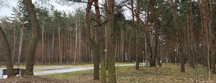 Парк «Воинов-интернационалистов» is one of Брест.