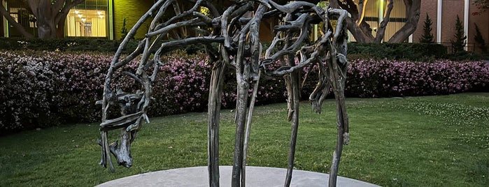 UCLA Franklin D. Murphy Sculpture Garden is one of abd LA.