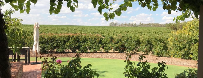 Murray Street Vineyards is one of Barossa Valley wineries.
