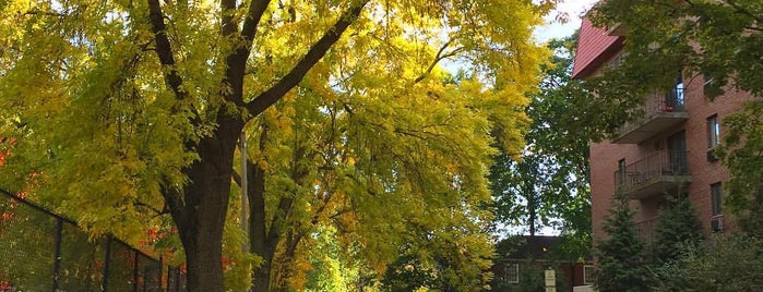 freeman park brookline is one of Locais curtidos por Enrico.