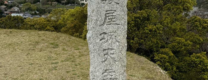 名護屋城跡 is one of 日本 100 名城.