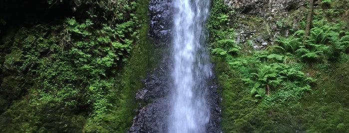Elowah Falls is one of OR To Do.