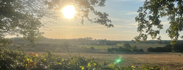 Ashtead Common is one of Places To Go With Becca.