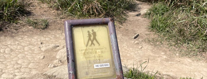 Lantau Trail (Section 3) is one of HK hikes & trails.