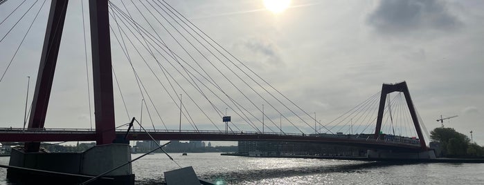 Willemsbrug is one of Rotterdam.